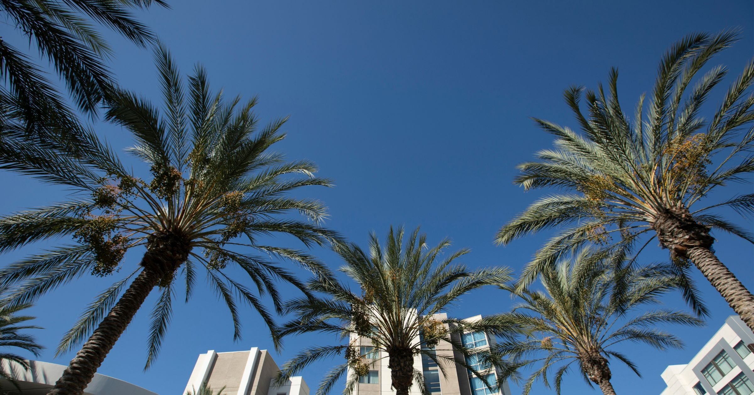 Anaheim