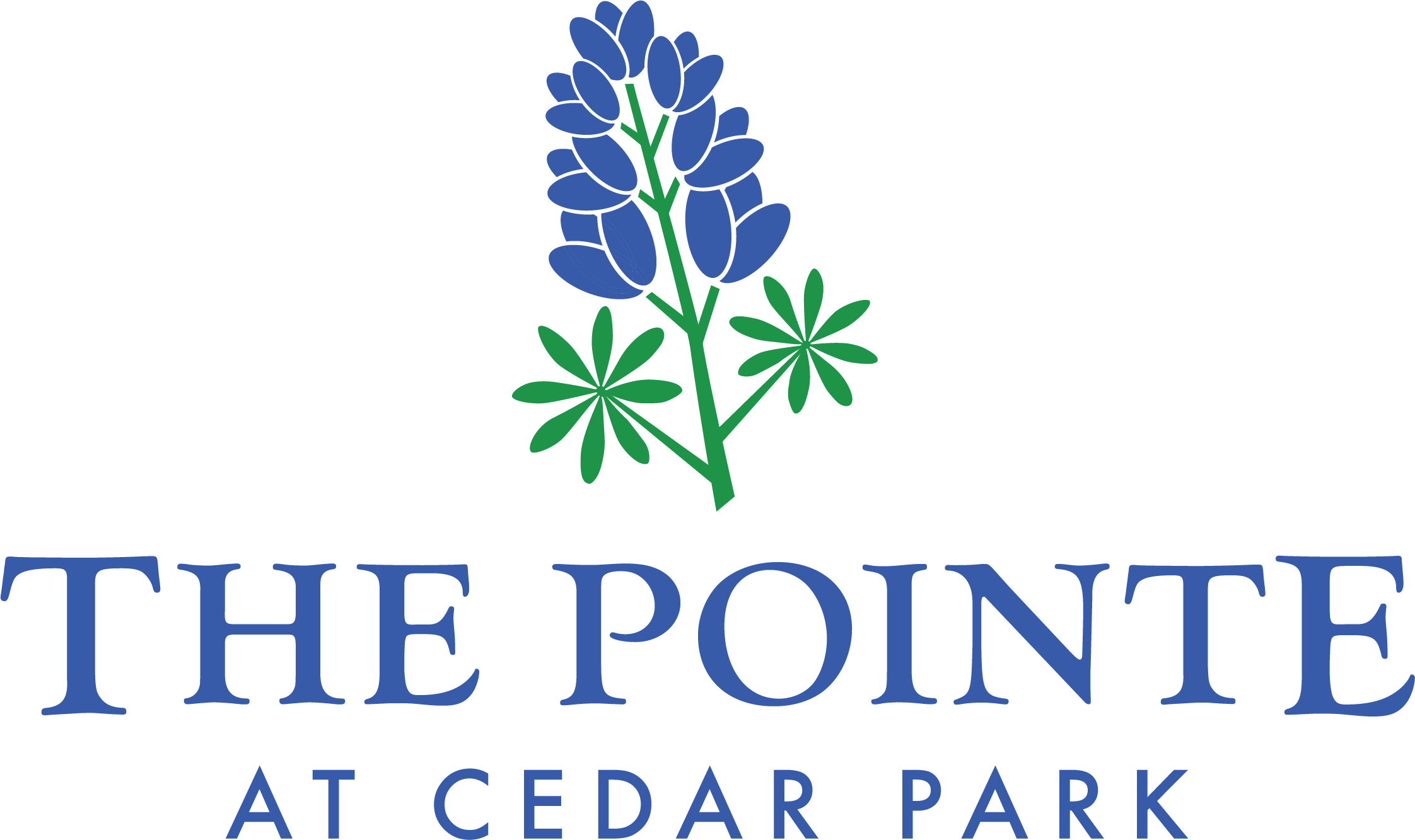 The Pointe at Cedar Park