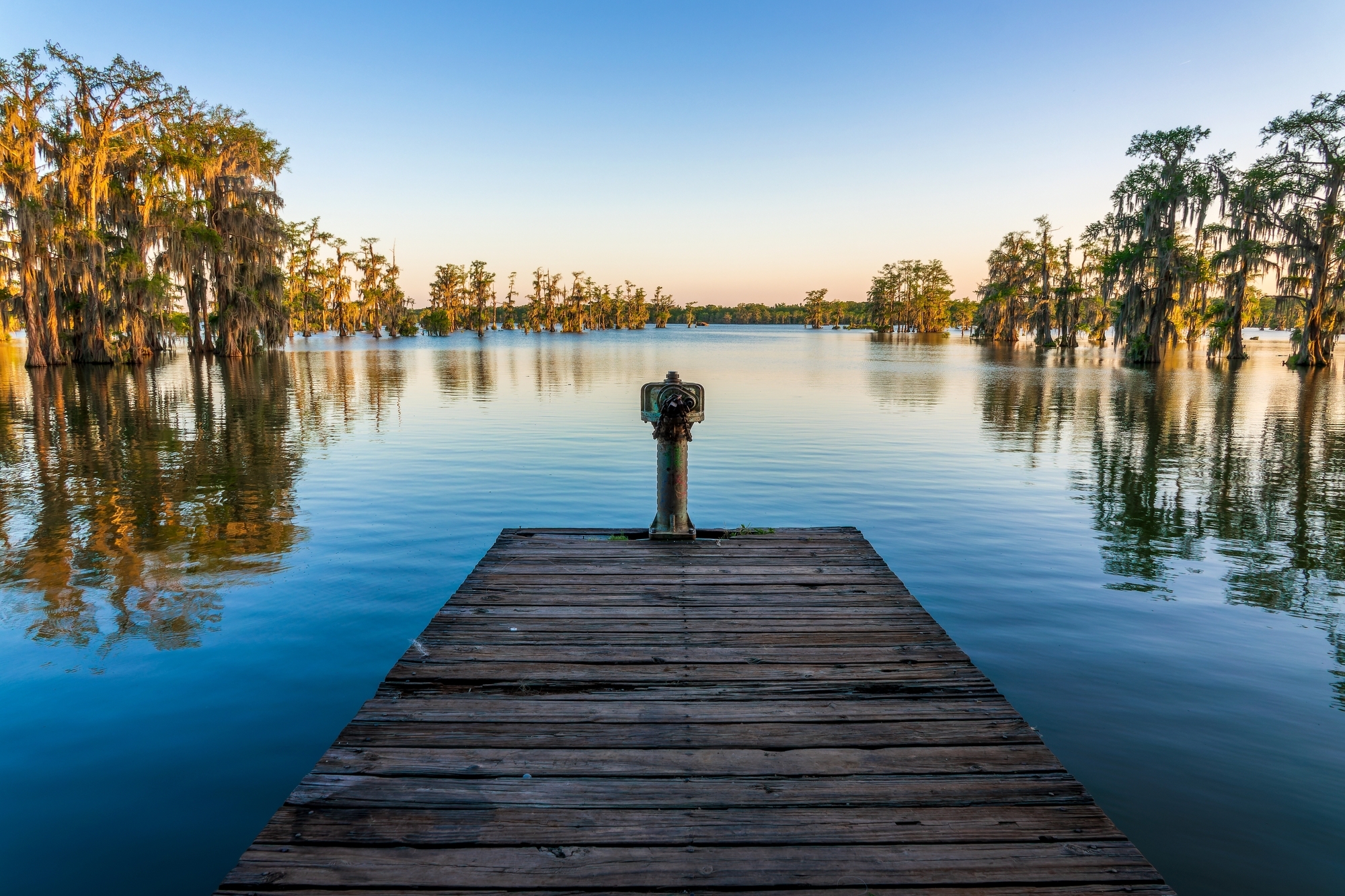shutterstock_2667465621-1